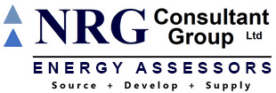 NRG Consultant Group Ltd logo